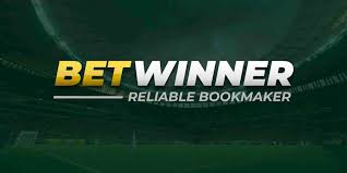 BetWinner Gambling Platform Your Ultimate Guide