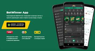 BetWinner Mobile App Your Gateway to Seamless Betting
