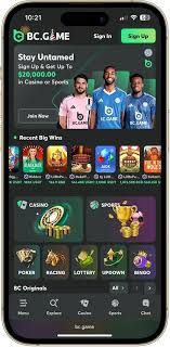 Explore the BC.Game Mirror App A Gateway to Safe and Fun Gaming